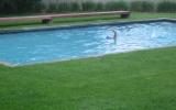 Hamptons, pool, beach, contemporary, deck, porch, 