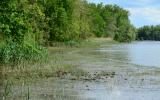 water, barn, rustic, 