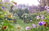 farm, greenhouse, field, rural, country, kitchen, 