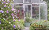 farm, greenhouse, field, rural, country, kitchen, 