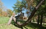 rural, rustic, water, wooded, contemporary, 