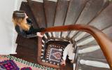 brownstone, townhouse, bohemian, eclectic, staircase, deck, kitchen, 