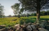 country, farm, horse, rustic, library, barn, stable, water, stone, rolling hill, greenhouse, boathouse, 