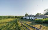 country, farm, horse, rustic, library, barn, stable, water, stone, rolling hill, greenhouse, boathouse, 