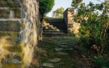 country, farm, horse, rustic, library, barn, stable, water, stone, rolling hill, greenhouse, boathouse, 