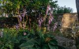 country, farm, horse, rustic, library, barn, stable, water, stone, rolling hill, greenhouse, boathouse, 