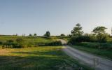 country, farm, horse, rustic, library, barn, stable, water, stone, rolling hill, greenhouse, boathouse, 