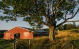 country, farm, horse, rustic, library, barn, stable, water, stone, rolling hill, greenhouse, boathouse, 