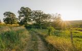 country, farm, horse, rustic, library, barn, stable, water, stone, rolling hill, greenhouse, boathouse, 