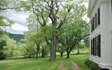 victorian, traditional, white, garden, 