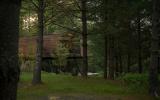 cabin, wooded, wood, pond, lake, glass, fireplace, 