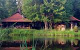 rural, eclectic, bohemian, country, lake, 