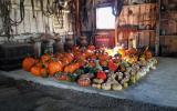 farm, farmhouse, barn, field, contemporary, light, airy, 