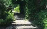 traditional, garden, beach, lawn, 