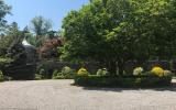 traditional, garden, beach, lawn, 