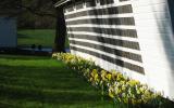 farm, farmhouse, barn, field, contemporary, light, airy, 