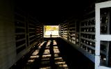 farm, farmhouse, barn, field, contemporary, light, airy, 