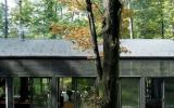 cabin, glass, wooded, light, airy, contemporary, 