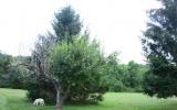 farm, farmhouse, barn, pool, field, fireplace, traditional, deck, patio, 