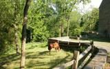 farm, barn, pool, rustic, 