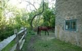 farm, barn, pool, rustic, 