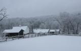 farm, field, barn, 