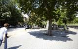 park, 