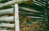 farm, farmhouse, field, water, pond, rural, stone, barn, Asheville, 