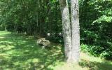 rural, water, barn, porch, patio, field, Asheville, 