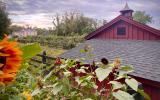 farm, greenhouse, field, rural, country, kitchen, 