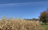 farmhouse, farm, rural, country, field, lake, barn, porch, 