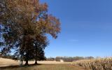 farmhouse, farm, rural, country, field, lake, barn, porch, 