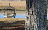 farmhouse, farm, rural, country, field, lake, barn, porch, 