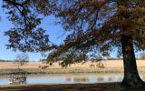 farmhouse, farm, rural, country, field, lake, barn, porch, 