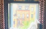 brownstone, townhouse, garden, rooftop, 