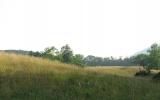 country, farm, horse, rustic, field, barn, 