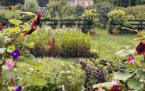 farm, greenhouse, field, rural, country, kitchen, 