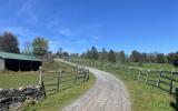 horse, farm, barn, stable, rural, field, lake, 