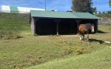 horse, farm, barn, stable, rural, field, lake, 