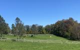 horse, farm, barn, stable, rural, field, lake, 