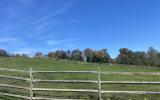 horse, farm, barn, stable, rural, field, lake, 