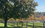 horse, farm, barn, stable, rural, field, lake, 