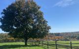 horse, farm, barn, stable, rural, field, lake, 