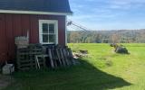 horse, farm, barn, stable, rural, field, lake, 