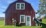 horse, farm, barn, stable, rural, field, lake, 