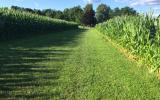 farmhouse, farm, rural, country, field, lake, barn, porch, 