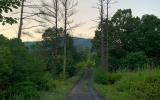 cabin, barn, lake, water, rural, country, wooded, deck, 