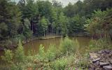 cabin, barn, lake, water, rural, country, wooded, deck, 