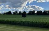 farmhouse, farm, rural, country, field, lake, barn, porch, 