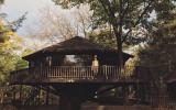 cabin, log house, rural, country, 